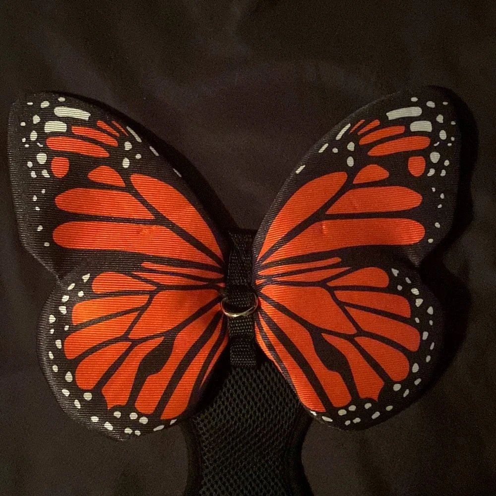 Butterfly Dog PET HARNESS Costume Fits Girths Up to 17